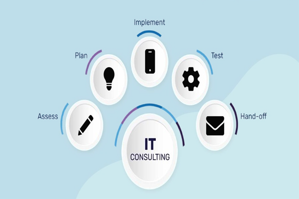 IT Consultation